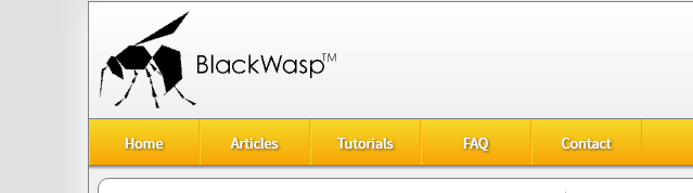 Learning to code or need a Refresher, BlackWasp can help!